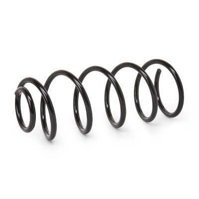 Suspension Spring RIDEX 188C0110 188C0110 - photo 4