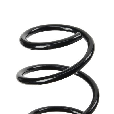 Suspension Spring RIDEX 188C0901 188C0901 - photo 4