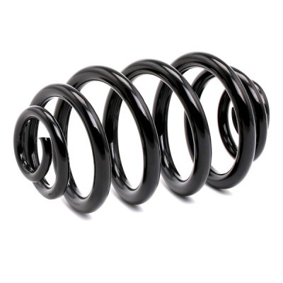 Suspension Spring RIDEX 188C0166 188C0166 - photo 3