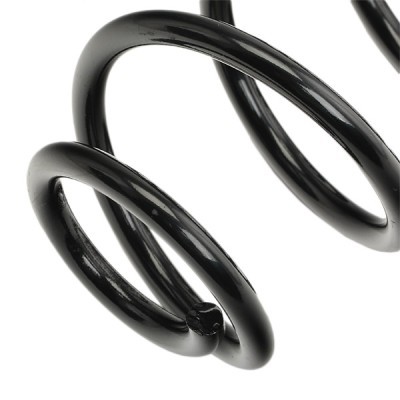 Suspension Spring RIDEX 188C0624 188C0624 - photo 4