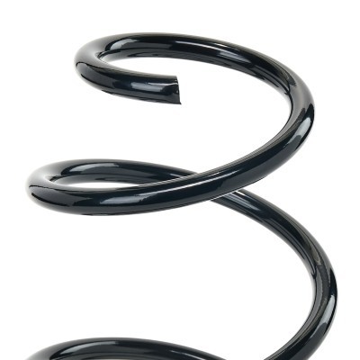 Suspension Spring RIDEX 188C2348 188C2348 - photo 3