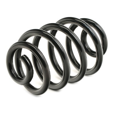 Suspension Spring RIDEX 188C0318 188C0318 - photo 3