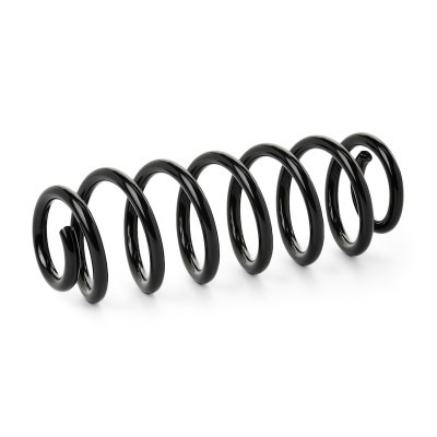 Suspension Spring RIDEX 188C0507 188C0507 - photo 2