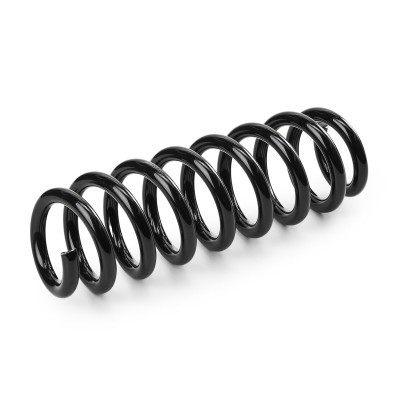 Suspension Spring RIDEX 188C0940 188C0940 - photo 3