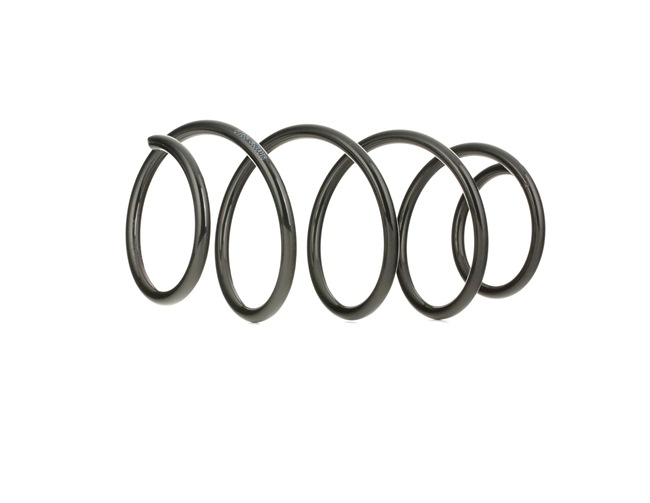 Suspension Spring RIDEX 188C0055 188C0055 - photo 1