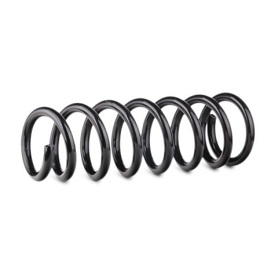 Suspension Spring RIDEX 188C0421 188C0421 - photo 3