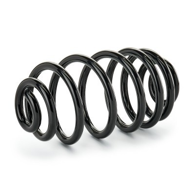 Suspension Spring RIDEX 188C0905 188C0905 - photo 3