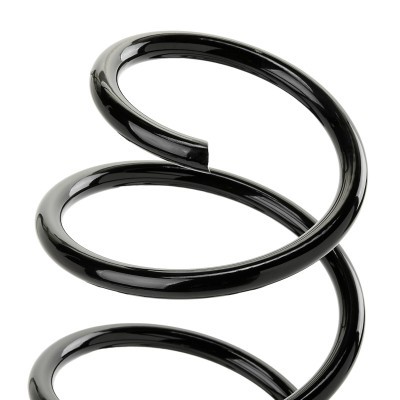 Suspension Spring RIDEX 188C1493 188C1493 - photo 3