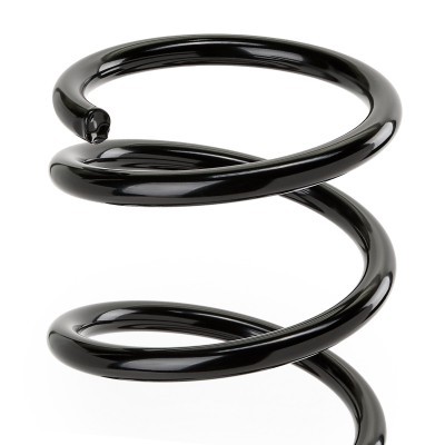 Suspension Spring RIDEX 188C0920 188C0920 - photo 4