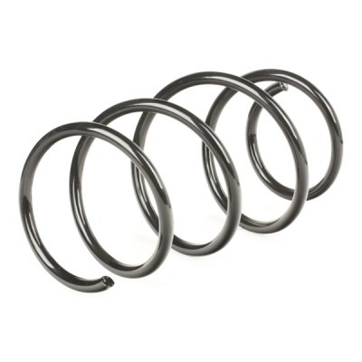 Suspension Spring RIDEX 188C0079 188C0079 - photo 3