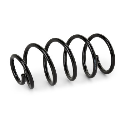 Suspension Spring RIDEX 188C0731 188C0731 - photo 2