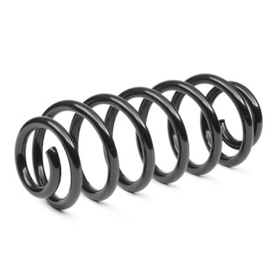 Suspension Spring RIDEX 188C0873 188C0873 - photo 3