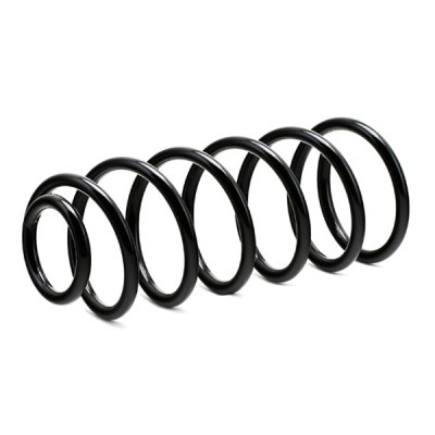 Suspension Spring RIDEX 188C0197 188C0197 - photo 2
