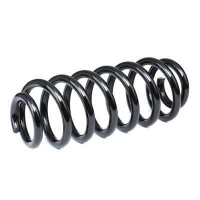Suspension Spring RIDEX 188C0793 188C0793 - photo 3