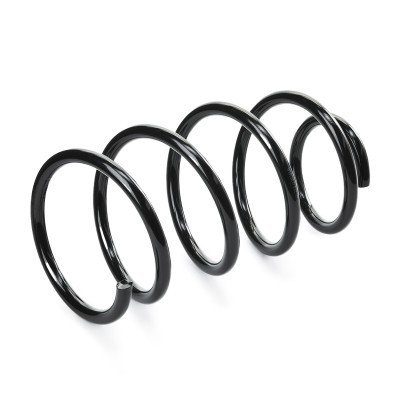 Suspension Spring RIDEX 188C0395 188C0395 - photo 3