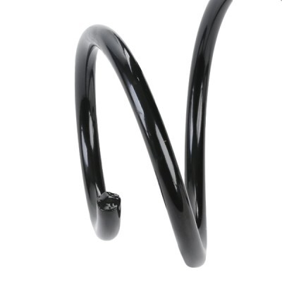 Suspension Spring RIDEX 188C0640 188C0640 - photo 4