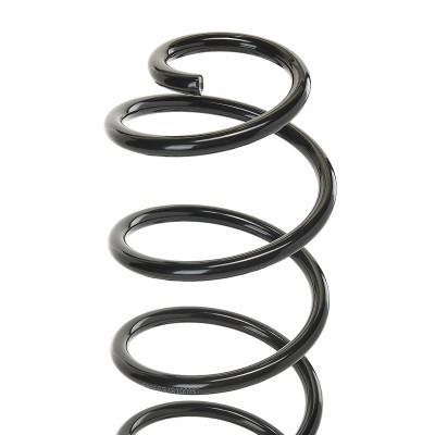 Suspension Spring RIDEX 188C0066 188C0066 - photo 6