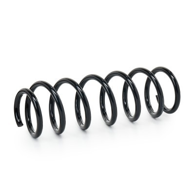 Suspension Spring RIDEX 188C2421 188C2421 - photo 2
