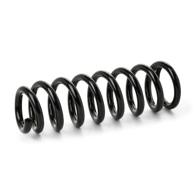 Suspension Spring RIDEX 188C1076 188C1076 - photo 2