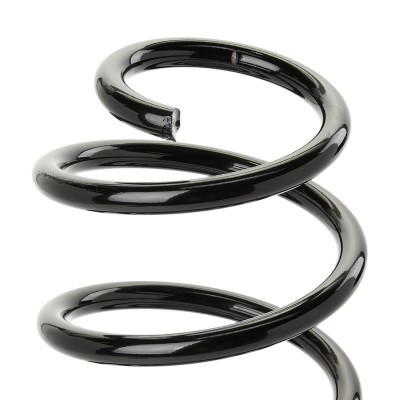 Suspension Spring RIDEX 188C1889 188C1889 - photo 3