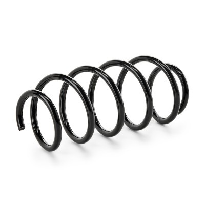 Suspension Spring RIDEX 188C0606 188C0606 - photo 2