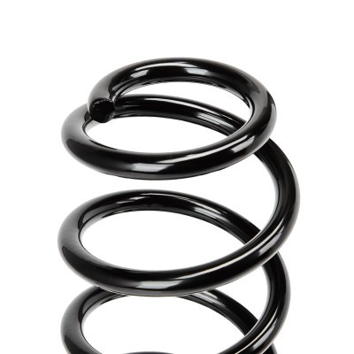 Suspension Spring RIDEX 188C2389 188C2389 - photo 3