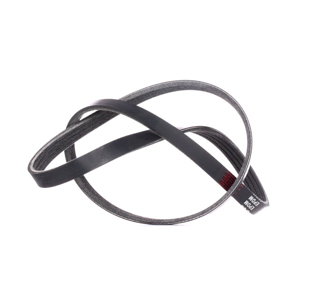 V-Ribbed Belt Stark SKPB-0090092 SKPB-0090092 - photo 1