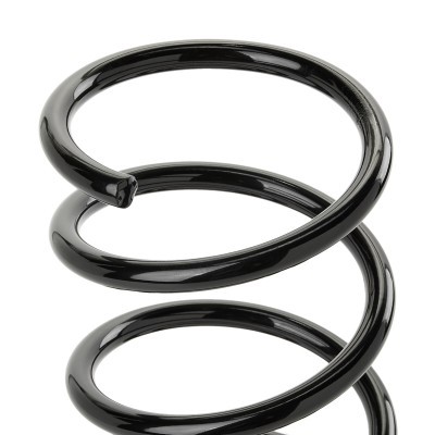 Suspension Spring RIDEX 188C0988 188C0988 - photo 3