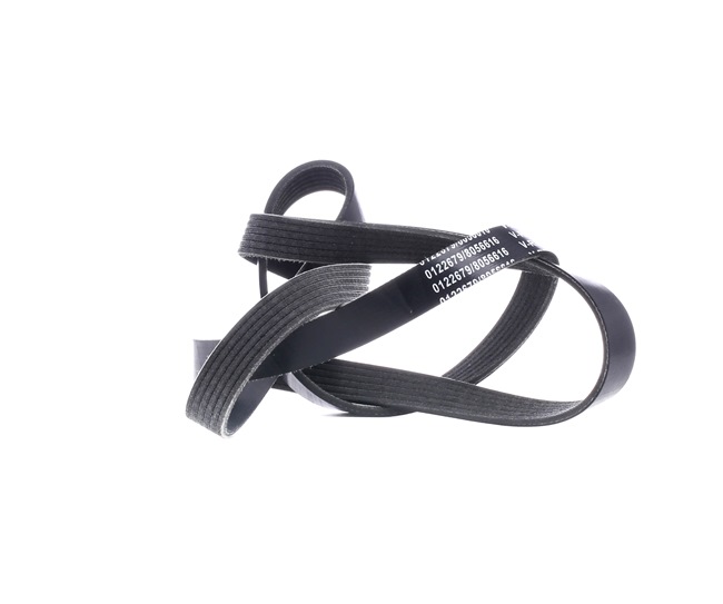 V-Ribbed Belt Stark SKPB-0090224 SKPB-0090224 - photo 1