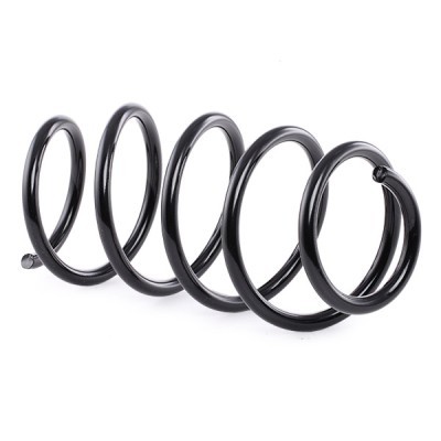 Suspension Spring RIDEX 188C0522 188C0522 - photo 3