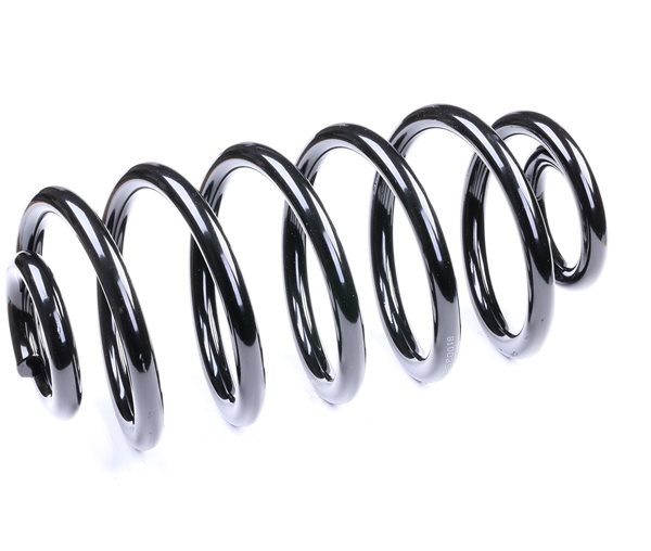 Suspension Spring RIDEX 188C0179 188C0179 - photo 1