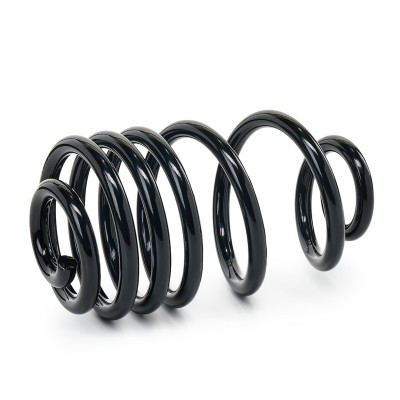 Suspension Spring RIDEX 188C0702 188C0702 - photo 2