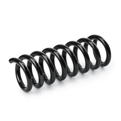 Suspension Spring RIDEX 188C0656 188C0656 - photo 3