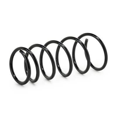 Suspension Spring RIDEX 188C1394 188C1394 - photo 2