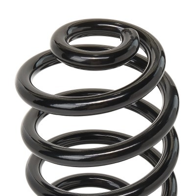Suspension Spring RIDEX 188C0024 188C0024 - photo 5