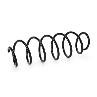 Suspension Spring RIDEX 188C0284 188C0284 - photo 2