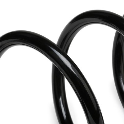 Suspension Spring RIDEX 188C0620 188C0620 - photo 4