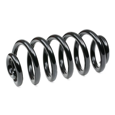 Suspension Spring RIDEX 188C0512 188C0512 - photo 3