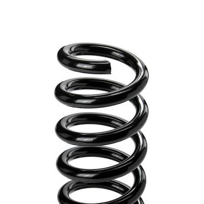 Suspension Spring RIDEX 188C1007 188C1007 - photo 3