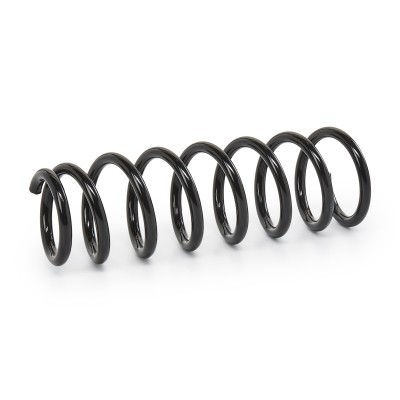 Suspension Spring RIDEX 188C1842 188C1842 - photo 2
