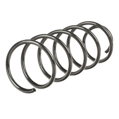 Suspension Spring RIDEX 188C0215 188C0215 - photo 3