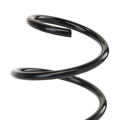 Suspension Spring RIDEX 188C0258 188C0258 - photo 3