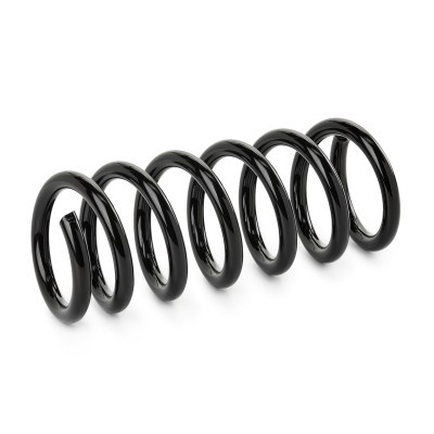 Suspension Spring RIDEX 188C0899 188C0899 - photo 2