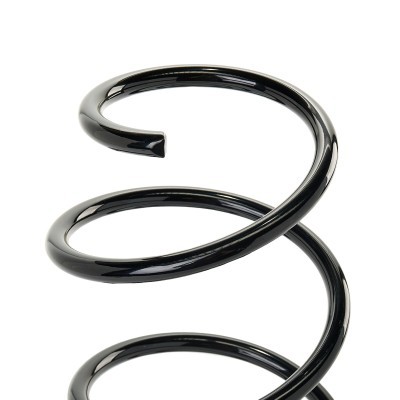 Suspension Spring RIDEX 188C0982 188C0982 - photo 4