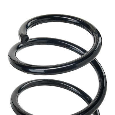 Suspension Spring RIDEX 188C2221 188C2221 - photo 3