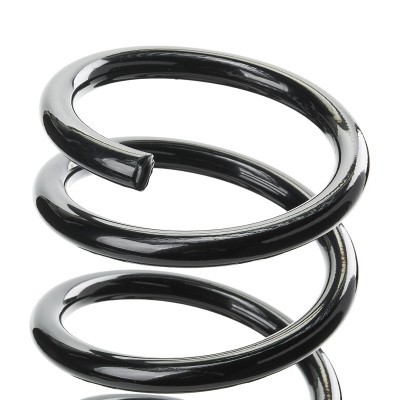 Suspension Spring RIDEX 188C0733 188C0733 - photo 4