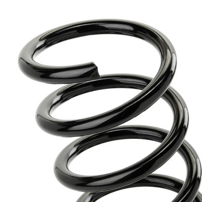 Suspension Spring RIDEX 188C0885 188C0885 - photo 3