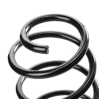 Suspension Spring RIDEX 188C0395 188C0395 - photo 4