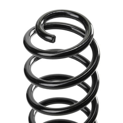 Suspension Spring RIDEX 188C1282 188C1282 - photo 4