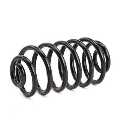 Suspension Spring RIDEX 188C0061 188C0061 - photo 3